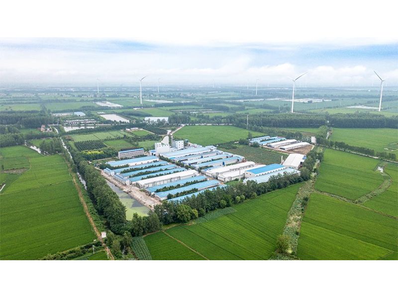 2023年中央一號(hào)文件出爐，畜禽產(chǎn)業(yè)應(yīng)抓住哪些新機(jī)遇？