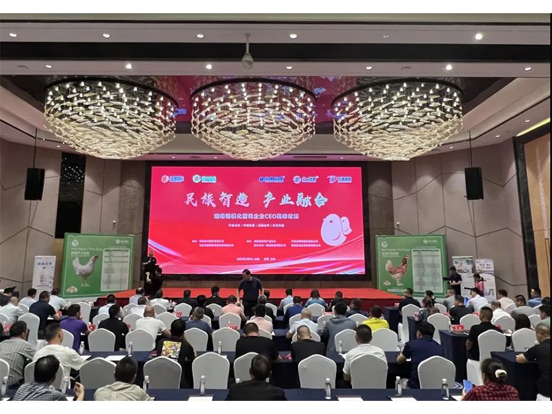 熱烈祝賀湖南規(guī)?；半u企業(yè)CEO高峰論壇取得圓滿成功！